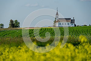 Zion Lutheran Church and graveyard near Kyle, Saskatchewan with a canola and lentil field