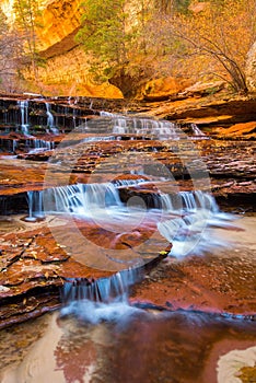 Zion meets fall