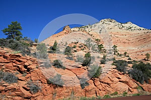 Zion Mt Carmel Highway