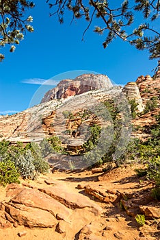 Zion N.P. - Canyon Overlook Trail