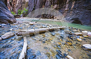 Zion narrow  with  vergin river in Zion National park,Utah,usa