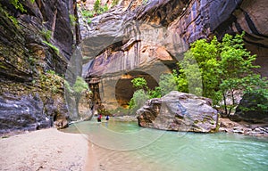 Zion narrow  with  vergin river in Zion National park,Utah,usa