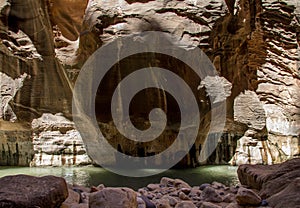 Zion Narrows Zion National Park 10