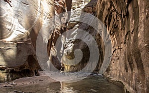 Zion Narrows Zion National Park 8