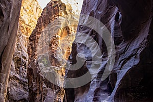 Zion Narrows Zion National Park 6