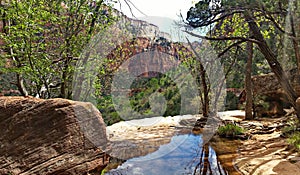 Zion National Park