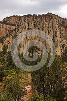 Zion National Park