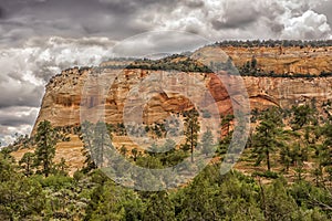 Zion National Park