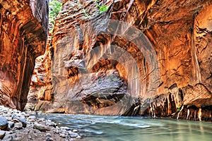 Zion National Park