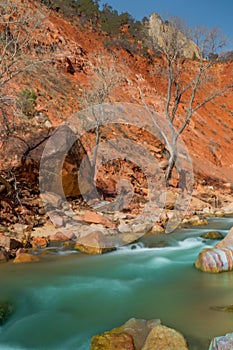 Zion National Park