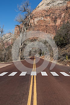 Zion National Park