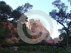 Zion national park