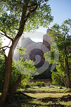 Zion National Park