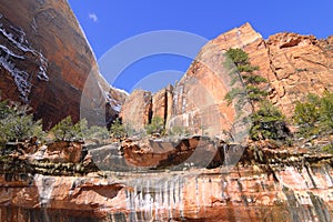 Zion National Park - Emerald Pools Trail