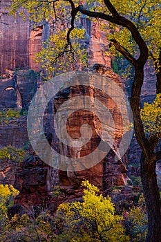 Zion National Park In the Fall, Utah