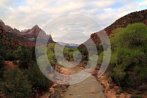 Zion National Park Landscape