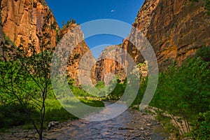 Zion national park