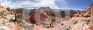 Zion National Park Panorama