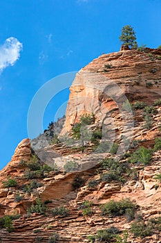 Zion National Park rock formation