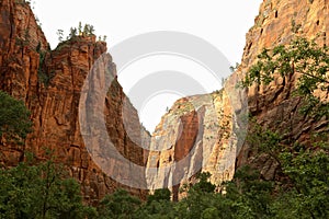 Zion National Park Rock formation Utah