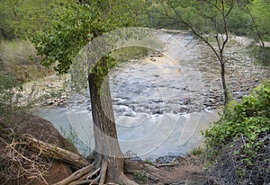 Zion National park`s river water