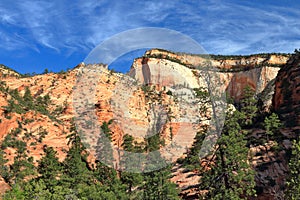 Zion National Park with Sandstone Cliffs near Checkerboard Mesa, Southwest Desert, Utah