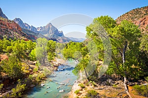 Zion National Park scenery with The Watchman peak and Virgin river in summer, Utah, USA