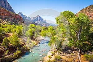 Zion National Park scenery with The Watchman peak and Virgin river in summer, Utah, USA photo