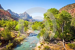 Zion National Park scenery with The Watchman peak and Virgin river in summer, Utah, USA photo