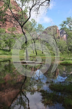 Zion National Park Standing water