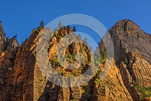 Zion National Park at Sunset, Utah