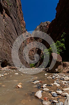 Zion National Park in Utah