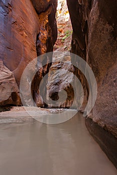 Zion National Park in Utah