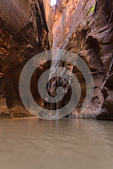 Zion National Park in Utah