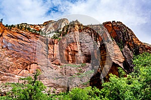 Zion National Park, Utah.