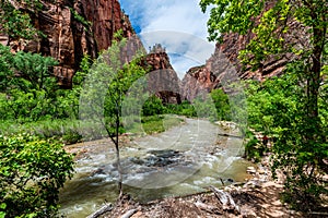 Zion National Park, Utah.