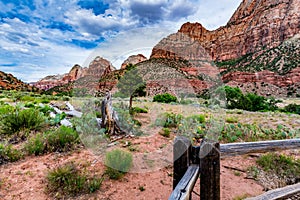 Zion National Park, Utah.