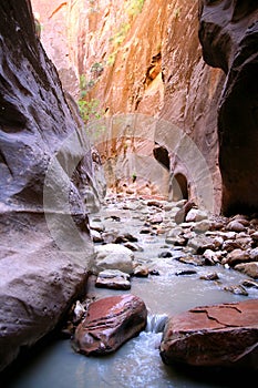 Zion National Park in Utah