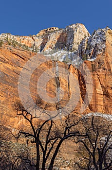 Zion National Park Utah Scenic Winter Landscape