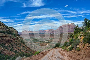 Zion National Park, Utah, USA