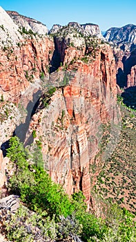 Zion National Park, Utah, USA. Beautiful landscapes, pristine nature, views of incredibly picturesque rocks and mountains. Angels