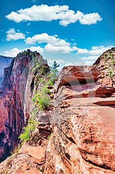 Zion National Park, Utah, USA. Beautiful landscapes, pristine nature, views of incredibly picturesque rocks and mountains. Angels