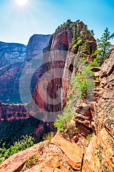 Zion National Park, Utah, USA. Beautiful landscapes, pristine nature, views of incredibly picturesque rocks and mountains. Angels