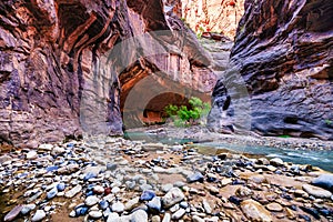 Zion National Park, Utah, USA, narrowing trail. Beautiful scenery, primeval nature, views of incredibly picturesque cliffs and