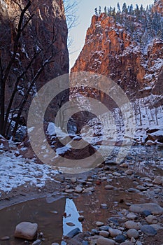 Zion National Park Utah Winter Landscape