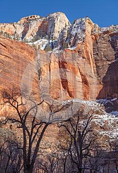 Zion National Park Utah Winter Landscape