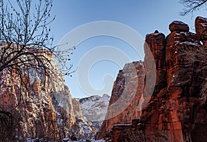 Zion National Park Utah Winter Scenic Landscape