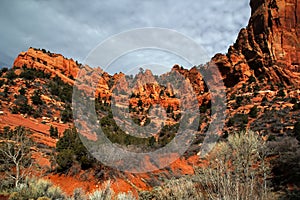 Zion National Park