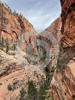 Zion National Park - A view while hiking towards Angel`s Landing
