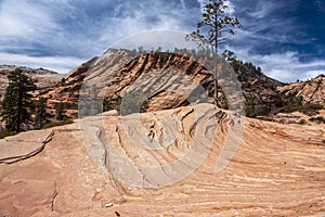 Zion National Park photo